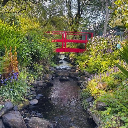 Streamside B And B With Parking Drimoleague 外观 照片