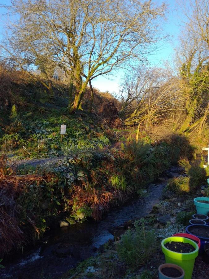 Streamside B And B With Parking Drimoleague 外观 照片